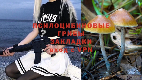 эйфоретик Алексин