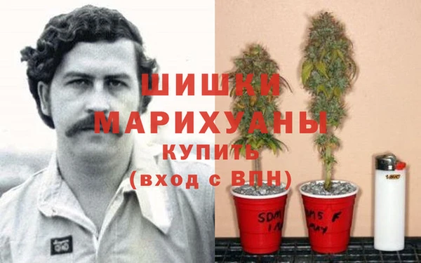 прущая мука Алзамай