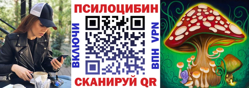 где можно купить   Апшеронск  Псилоцибиновые грибы Psilocybine cubensis 